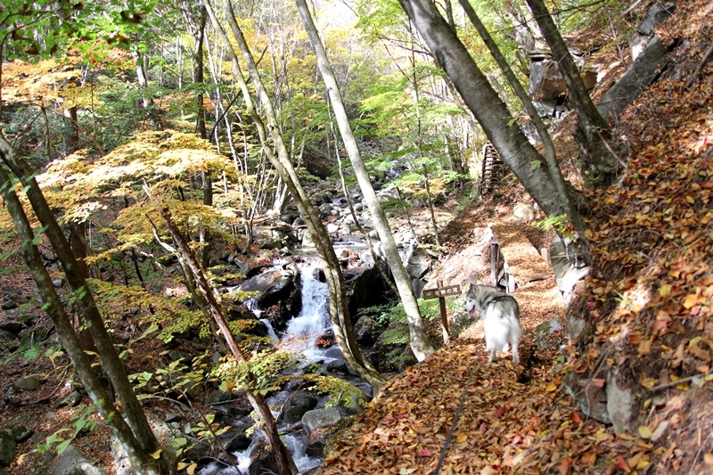 b0207615_16070581.jpg