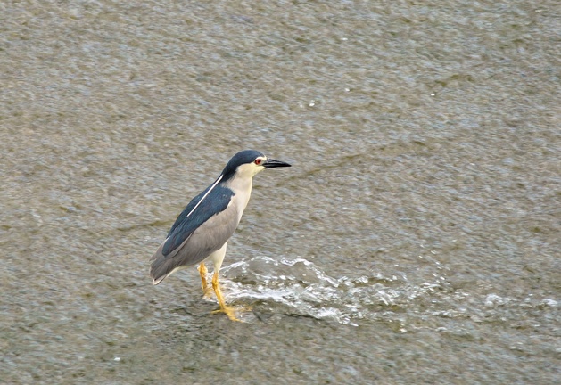a0248728_2331036.jpg
