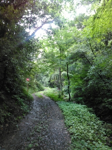 a0085632_23321393.jpg