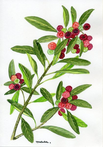 f0142733_20533709.jpg