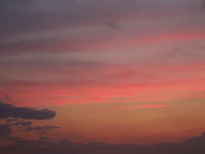 a0163738_21211563.jpg