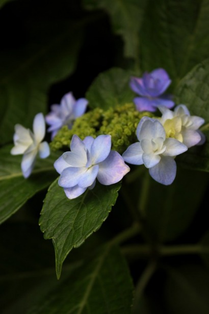 f0157538_1746514.jpg