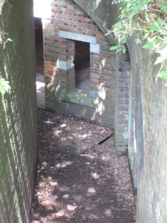 a0052952_16124136.jpg