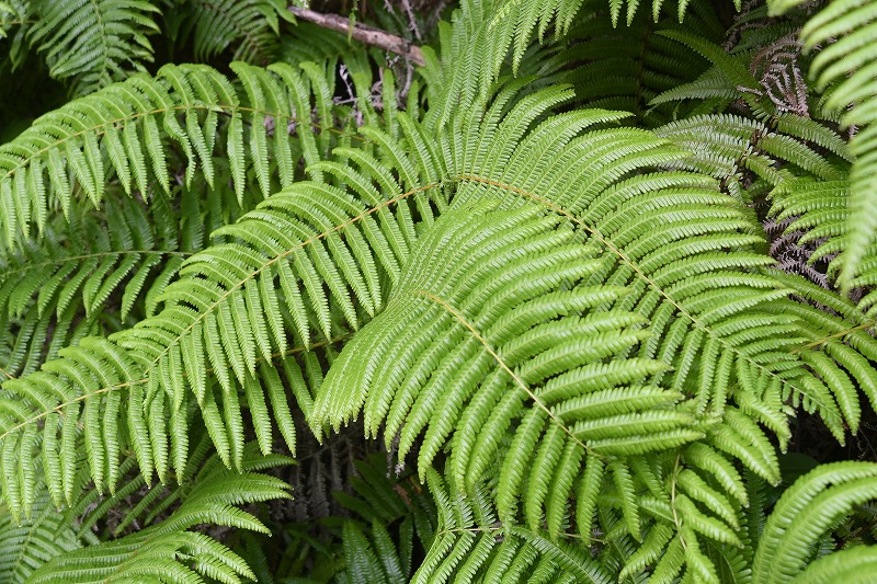 b0104861_21165957.jpg
