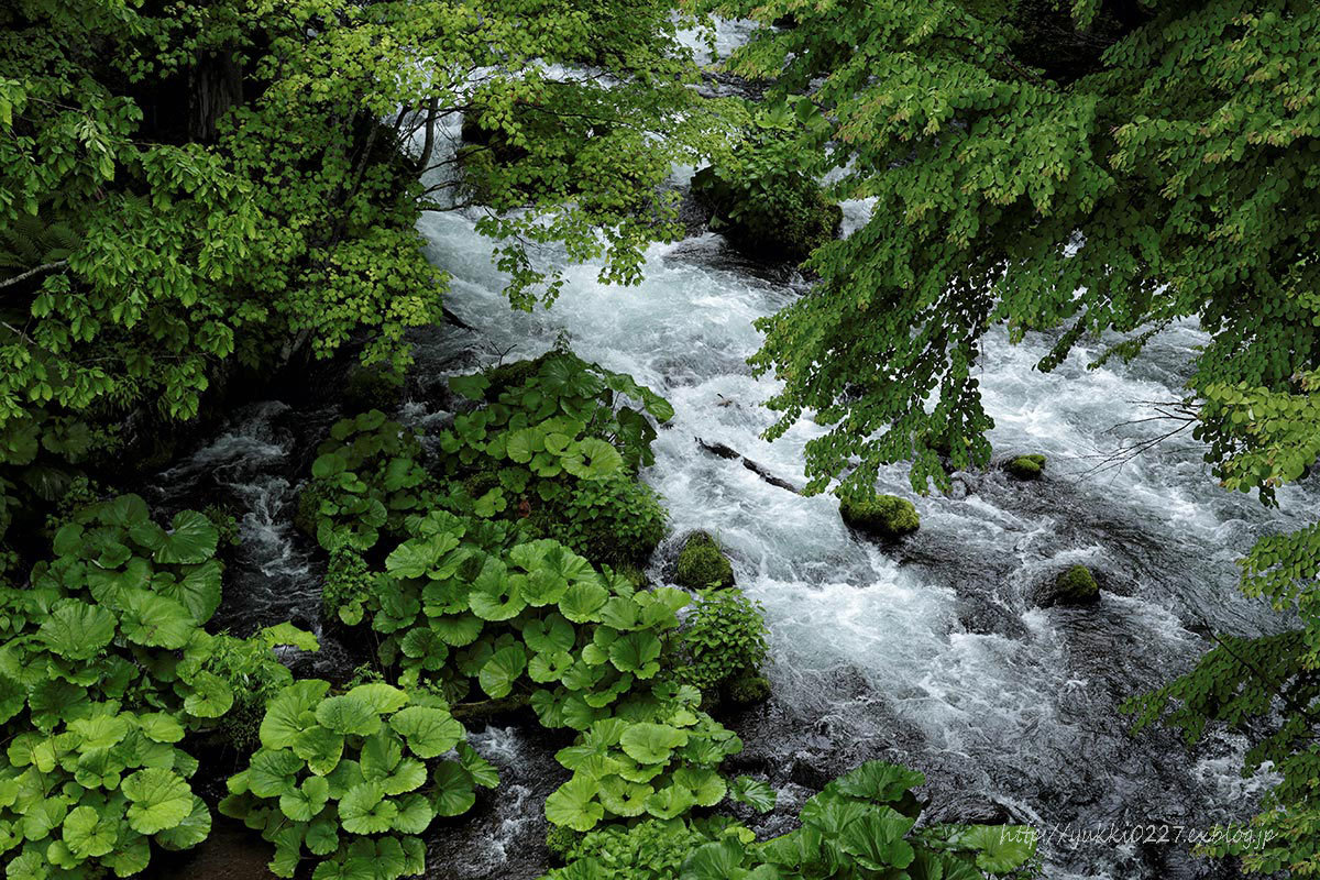f0054366_21195780.jpg