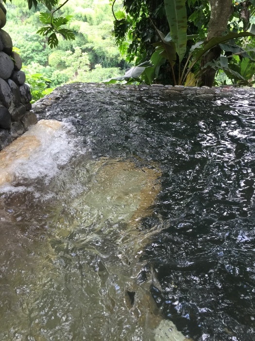 d0348772_17265286.jpg