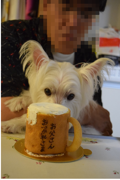 b0242873_23413881.png