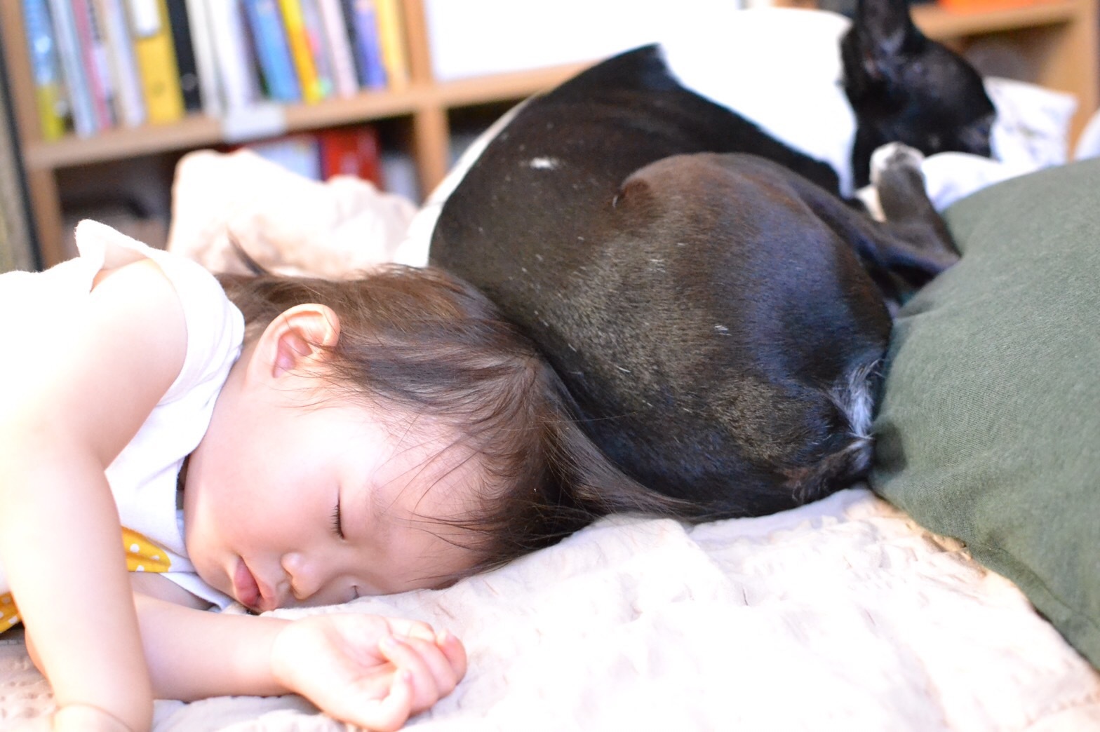 d0041575_21433915.jpeg