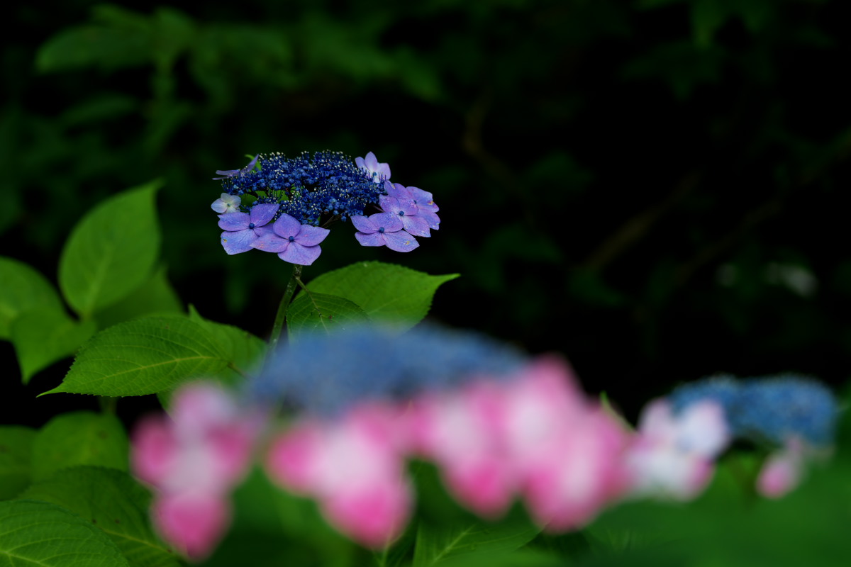 a0083081_18342435.jpg