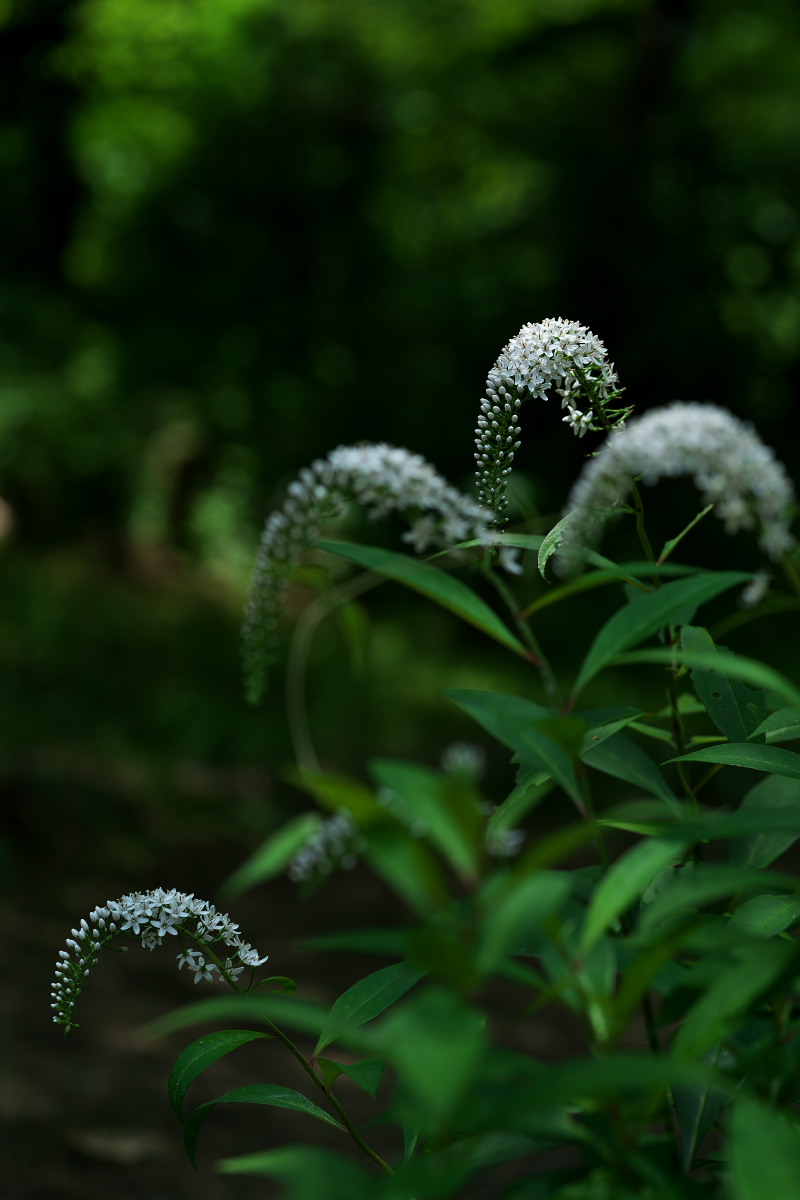 a0083081_18343823.jpg