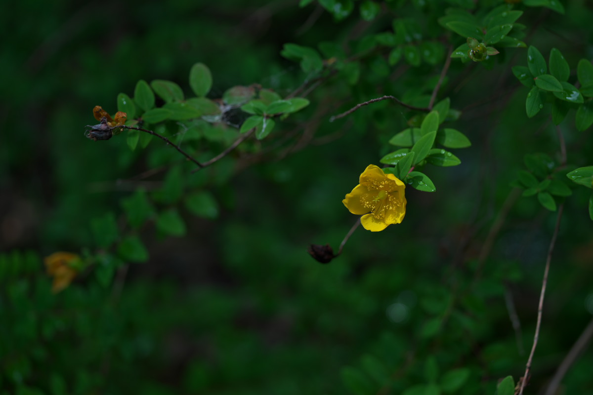 a0083081_18345264.jpg
