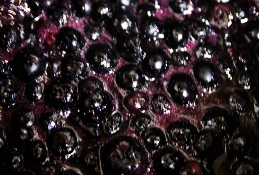 e0237283_15582494.jpg
