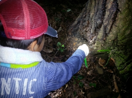 f0183484_01463387.jpg