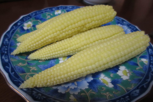 c0204385_12434674.jpg
