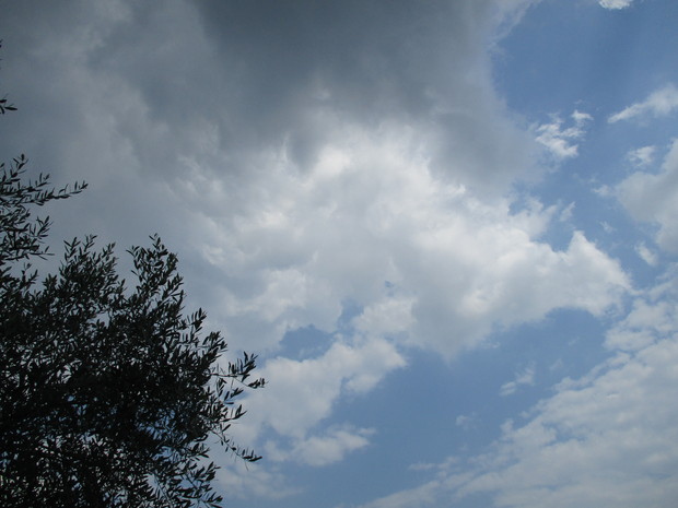 d0333091_1553364.jpg