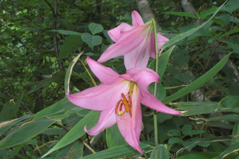 b0169292_2226336.jpg