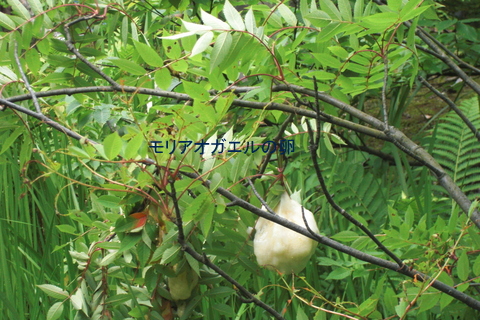 b0169292_2282734.jpg