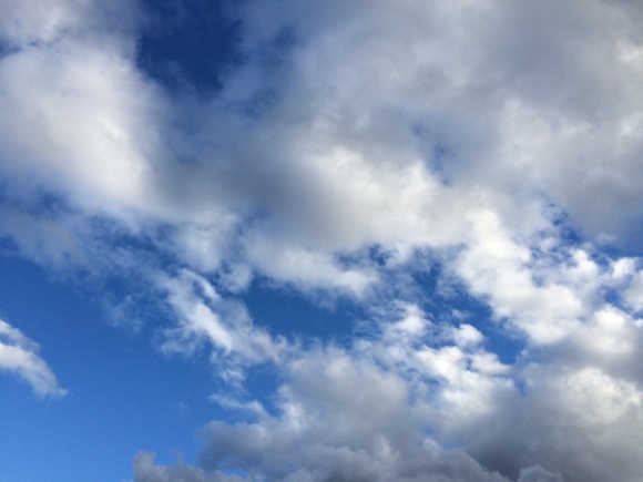 d0239796_20160553.jpeg