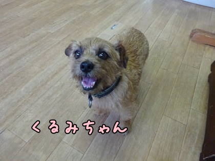 a0338800_14522908.jpg