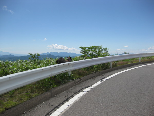 c0266004_20594601.jpg