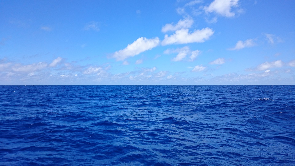 e0123808_14374355.jpg