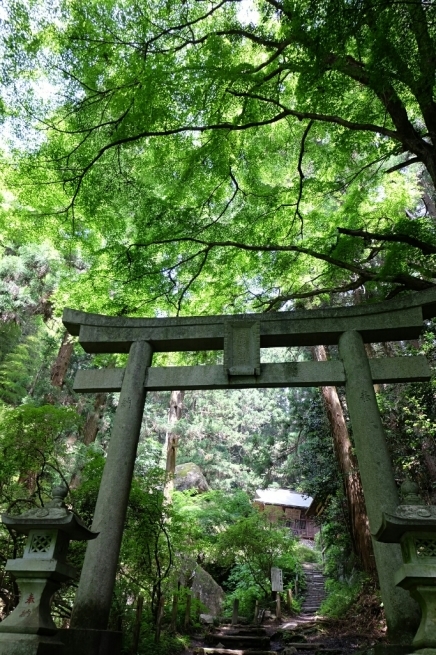 f0113108_17561345.jpg