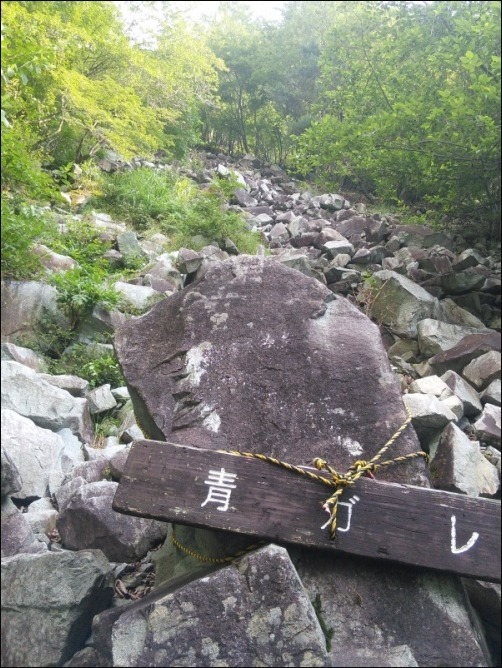 b0086909_06154763.jpg