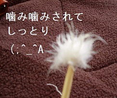 b0200310_19585877.jpg