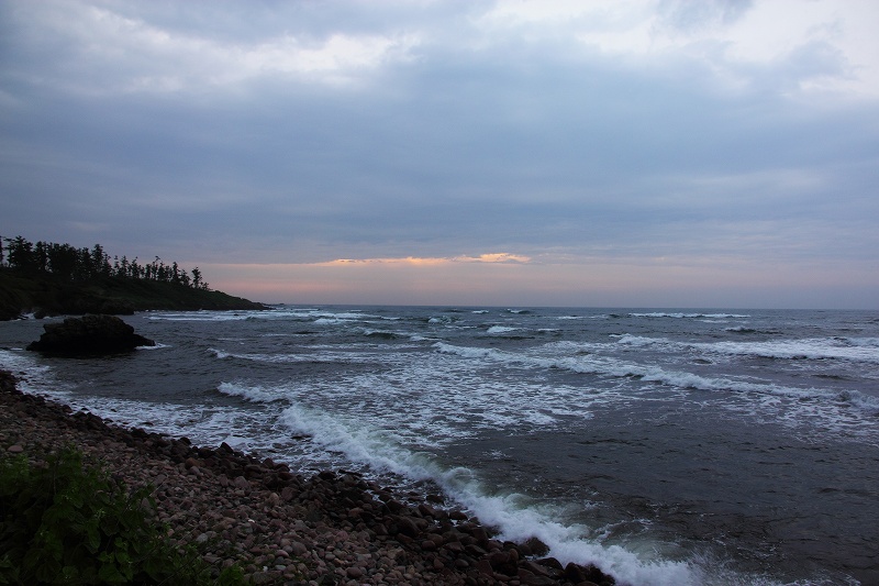 f0201711_2364394.jpg