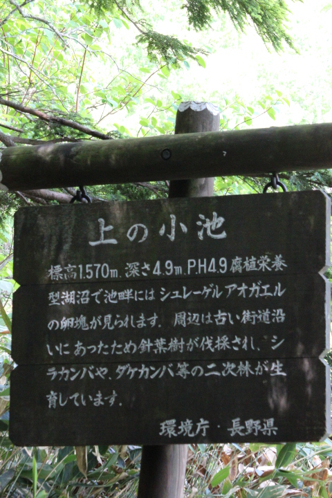 a0315813_8293636.jpg