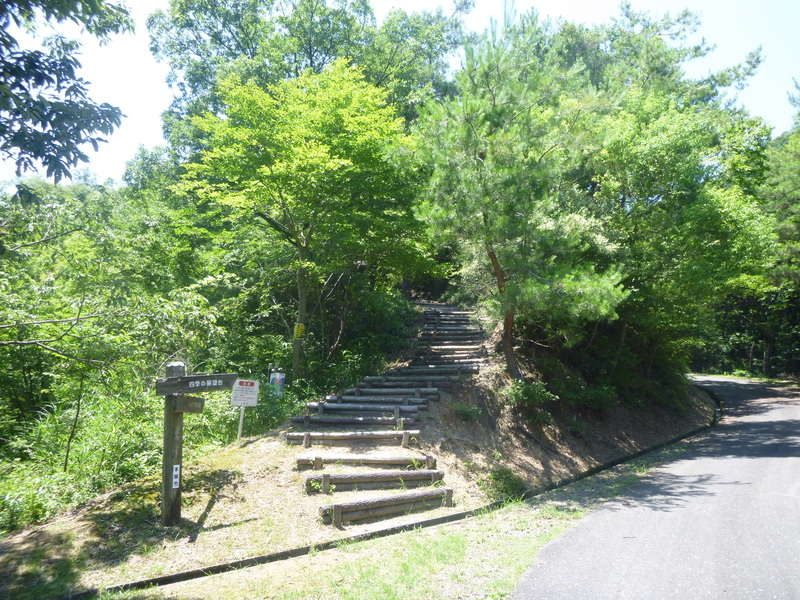 d0170615_20524399.jpg