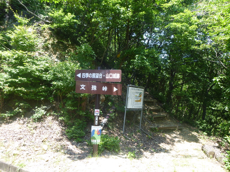 d0170615_2053153.jpg