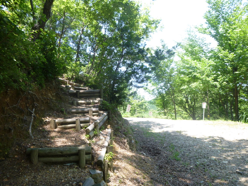 d0170615_20543170.jpg