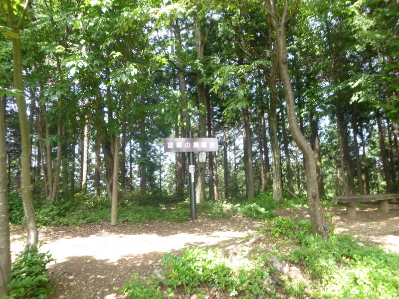 d0170615_2056486.jpg