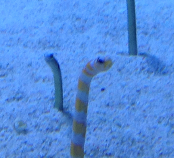 d0165420_21504010.jpg