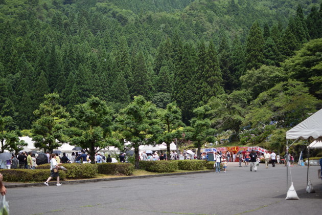 b0312230_00192387.jpg
