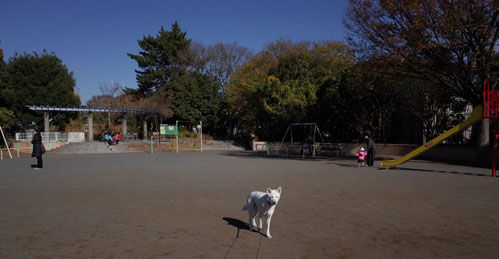 a0117039_2323237.jpg