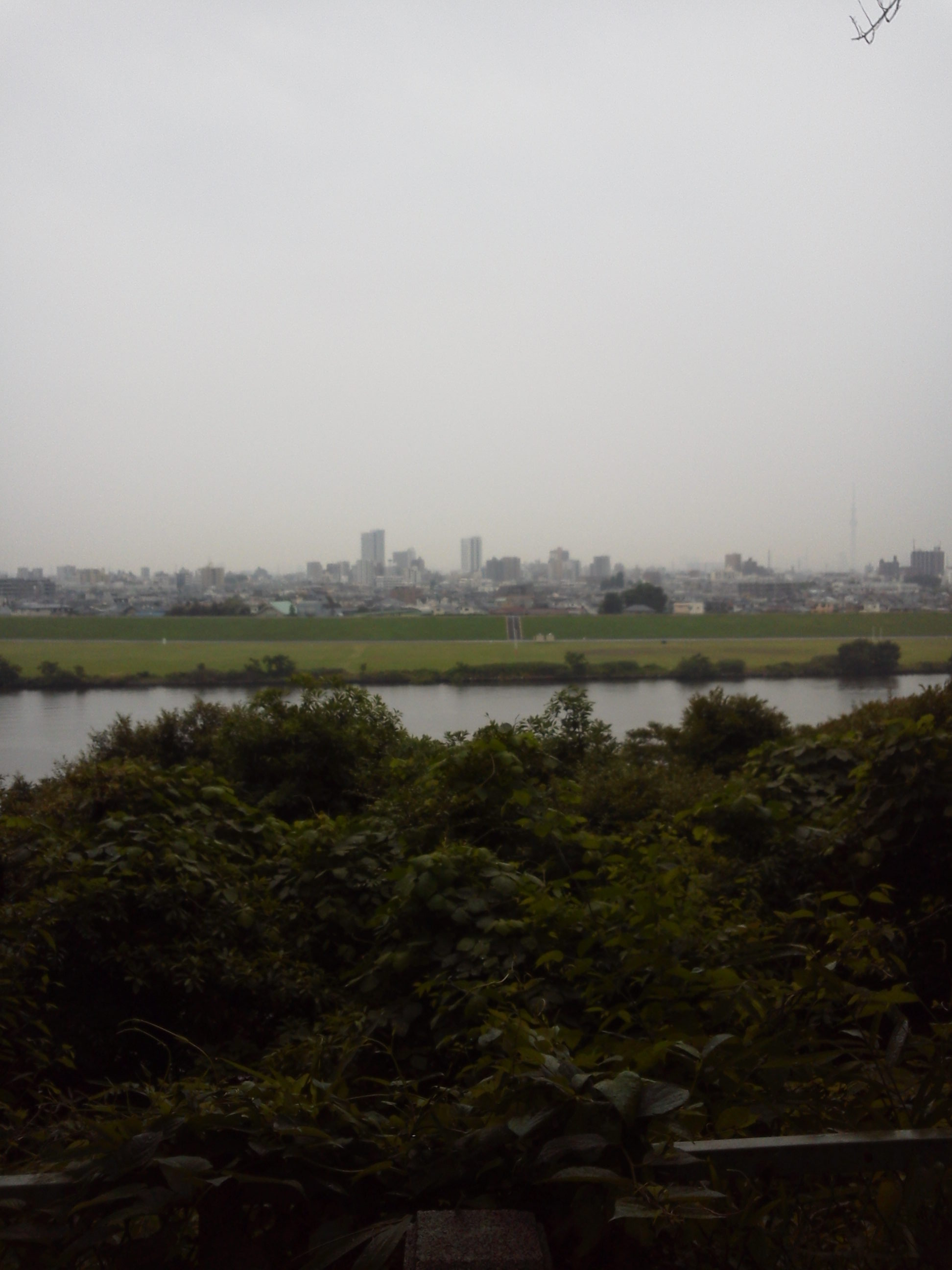 b0031140_15295760.jpg