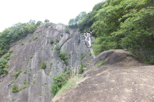 e0041047_03280815.jpg