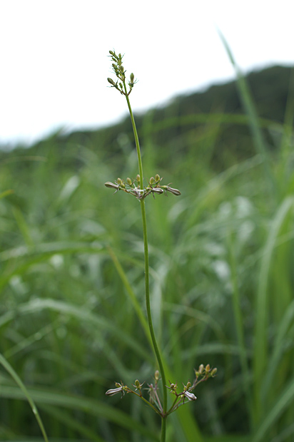 f0214649_438283.jpg