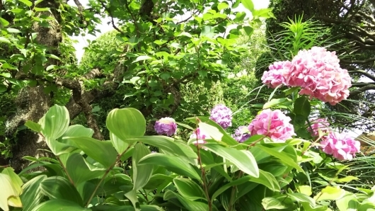 c0134850_11274660.jpg