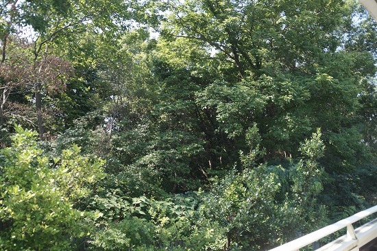 d0083761_21112310.jpg