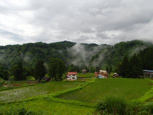 b0079965_2571069.jpg