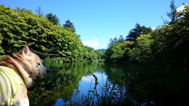 b0274270_12431428.jpg