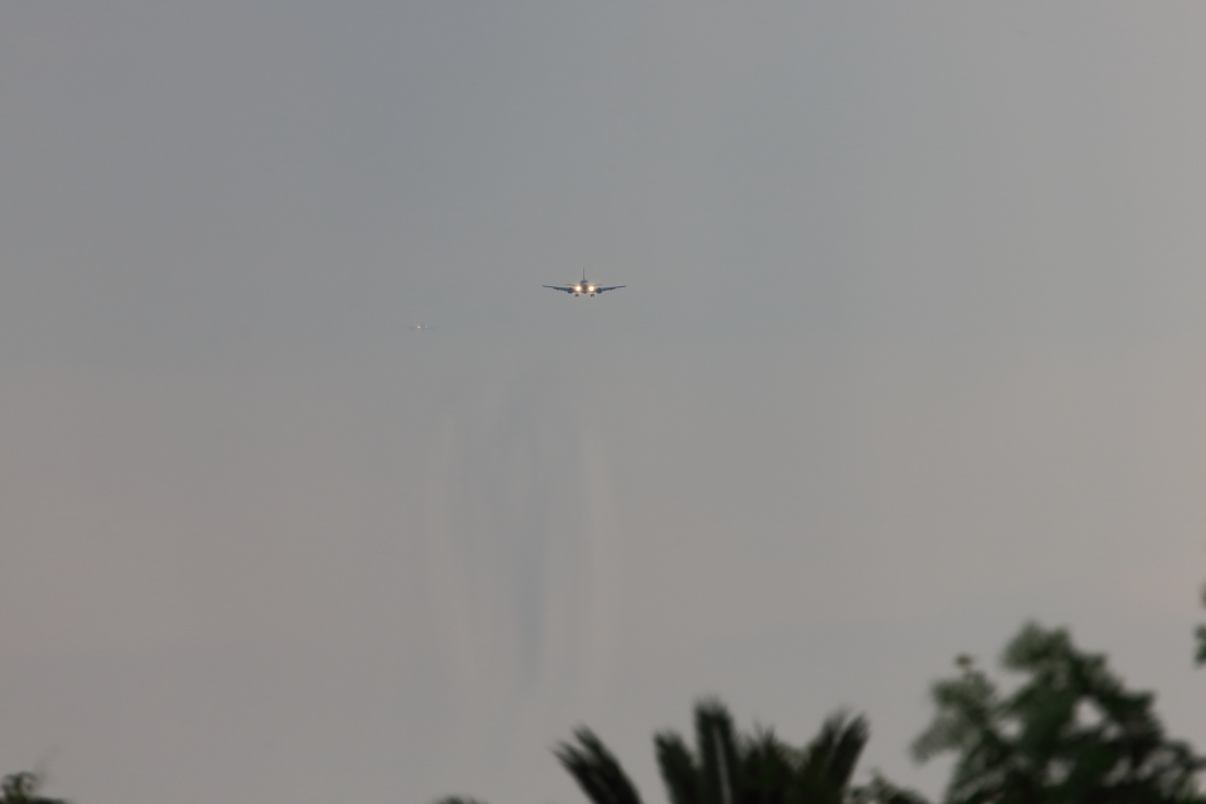 a0117972_20292626.jpg