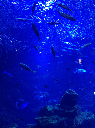 b0170373_21281690.jpg