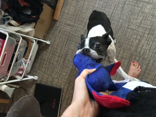 d0041575_21170277.jpeg