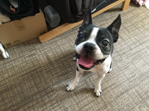 d0041575_21185447.jpeg