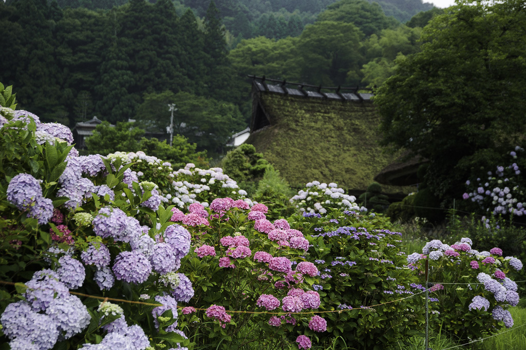 a0301676_06491987.jpg