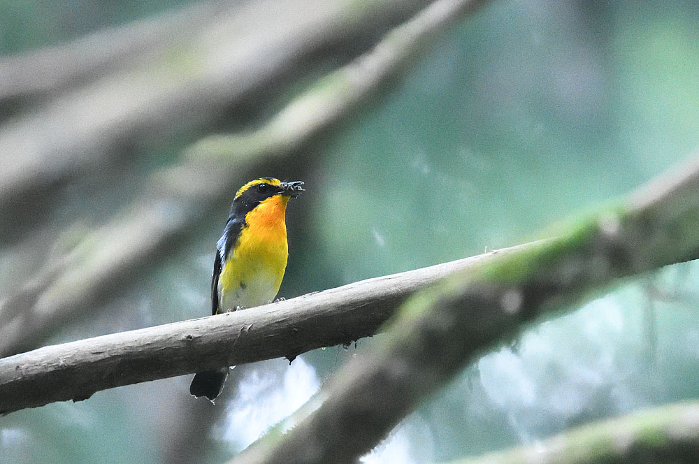 a0035279_21292133.jpg